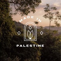 Nöl Collective logo - Similar company to Paliroots
