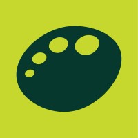 Vibrant Colour logo - Similar company to Alliance Solutions Ltd