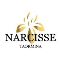 Narcisse Taormina logo - Similar company to Ecommerce Consulting Group Srl