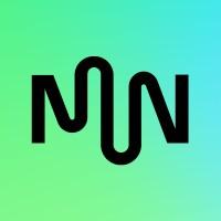 Femnoise Records logo - Similar company to Loop Barcelona
