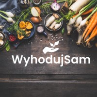 WyhodujSam logo - Similar company to Kome Polska Sp. Z O.O.