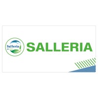 Salleria Solutions Pvt. Ltd. logo - Similar company to Salleria Solutions  ( 9318472938 )