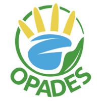 OPADES logo - Similar company to Exec Consultores