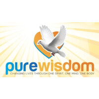 Pure Wisdom Inc logo - Similar company to Jobready2Dey