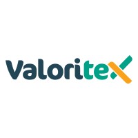 Valoritex logo - Similar company to Sk Fire Solutions