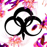 Treesome Festival logo - Similar company to Resonance