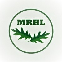 Meadow River Hardwood Lumber Co., LLC logo - Similar company to My Author Website