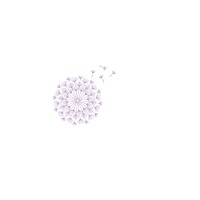 Dandelion Therapies logo - Similar company to Star Brokers Ltd
