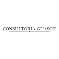 CONSULTORIA GUASCH SL logo - Similar company to Numeia
