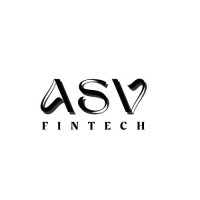 ASV FINTECH PRIVATE LIMITED logo - Similar company to Fintech Inc