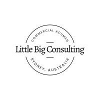 Little Big Consulting logo - Similar company to Sparo Studios
