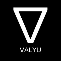 Valyu logo - Similar company to Belugaide