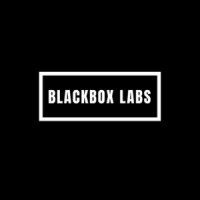 BlackBox Labs Holdings logo - Similar company to A-Scale