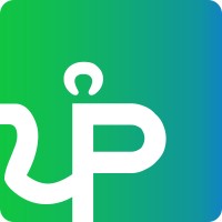 Punjab Capital logo - Similar company to Bop Capital