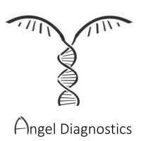 Angel Diagnostics logo - Similar company to Lmr Geartech