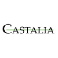 Castalia AB logo - Similar company to Finga