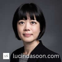 lucindasoon.com logo - Similar company to Wellceum