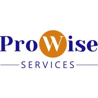 ProWise Services logo - Similar company to Lacy Management