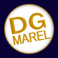 DG Marel logo - Similar company to Hiparts.