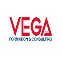 Vega Formation & Consulting logo - Similar company to L2M World