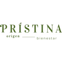 Pristina Co. logo - Similar company to Xoe Solutions