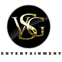VSG Entertainment logo - Similar company to Mcgowan Pae