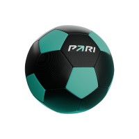 PARI logo - Similar company to Aya Group