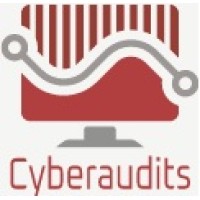 Cyberaudits logo - Similar company to Flameera
