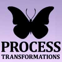 Process Transformations logo - Similar company to Mattern Construction, Inc.