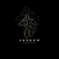 Shadow Recruitment