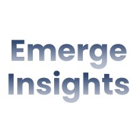 Emerge Insights logo - Similar company to Bluechip Auctions