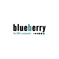 Blueberry Consulting logo - Similar company to Blueberry Software Solutions
