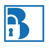 BluSkills logo - Similar company to Mw Global Security Services