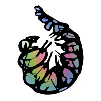 Casulo logo - Similar company to Fono Office