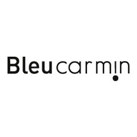 Bleu Carmin logo - Similar company to Tadx