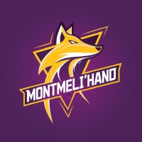 Montméli'hand logo - Similar company to Zebra Direction
