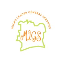 MLGS - Micro Leader General Services logo - Similar company to Lsr Informatique