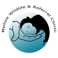 Belize Wildlife Clinic logo - Similar company to Arca - Animal Rescue And Care