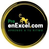 ProenExcel.com logo - Similar company to Turegalito