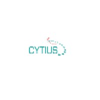 Cytius Software Services logo - Similar company to Idealcore Software