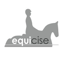 Equicise logo - Similar company to Sensed By Sensinite. Making The World Safer.