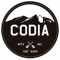 CODIA logo - Similar company to Codia