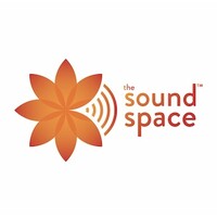 The Sound Space India logo - Similar company to Petixa India