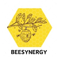 BeeSynergy logo - Similar company to Vector Innovations