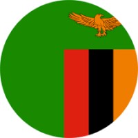 Afrikabisa