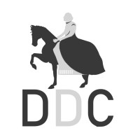 Di Carlo Group logo - Similar company to Equoevento Onlus