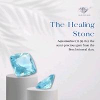 BLUE STAR GEMS NY LLC logo - Similar company to Just Diamond