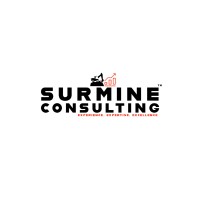 Surmine Consulting Private Limited logo - Similar company to Trio Mineral Processing Private Limited