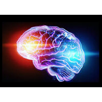 Luminous Minds Project