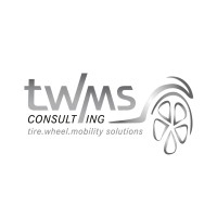 tire.wheel.moblity solutions consulting logo - Similar company to Dfp Design